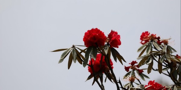 1740280758118651.jpg 微信截图_20250131022108(2).jpg